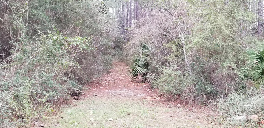 Santa Rosa Beach, Florida 32459, ,Land,For Sale,12th (Block 56),864931