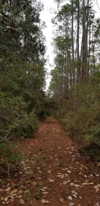 Santa Rosa Beach, Florida 32459, ,Land,For Sale,12th (Block 56),864931