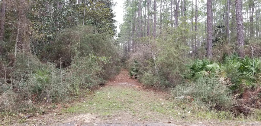 Santa Rosa Beach, Florida 32459, ,Land,For Sale,12th (Block 56),864931