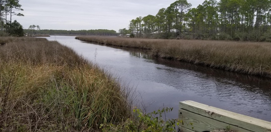 Santa Rosa Beach, Florida 32459, ,Land,For Sale,12th (Block 56),864931