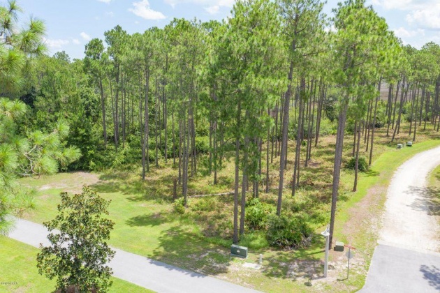 Panama City Beach, Florida 32413, ,Land,For Sale,Preservation,864999
