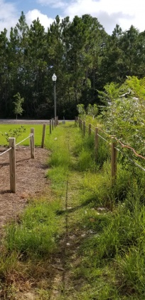 Santa Rosa Beach, Florida 32459, 4 Bedrooms Bedrooms, ,4 BathroomsBathrooms,Residential,For Sale,Hideaway,864940