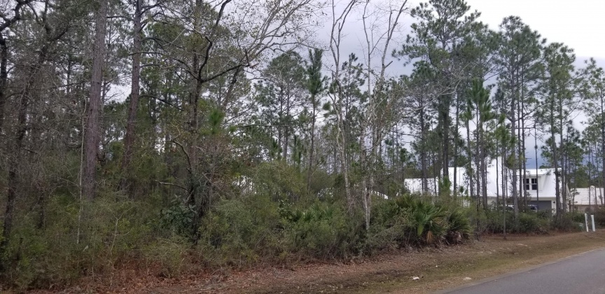 Santa Rosa Beach, Florida 32459, 4 Bedrooms Bedrooms, ,4 BathroomsBathrooms,Residential,For Sale,Hideaway,864940