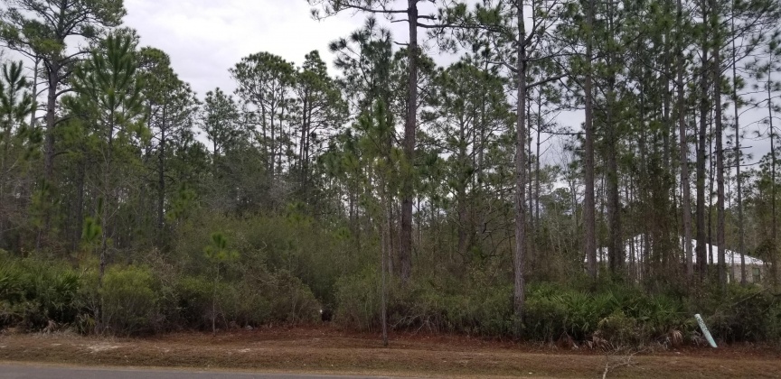 Santa Rosa Beach, Florida 32459, 4 Bedrooms Bedrooms, ,4 BathroomsBathrooms,Residential,For Sale,Hideaway,864940