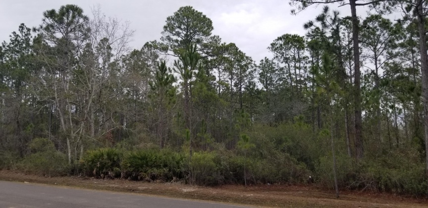 Santa Rosa Beach, Florida 32459, 4 Bedrooms Bedrooms, ,4 BathroomsBathrooms,Residential,For Sale,Hideaway,864940