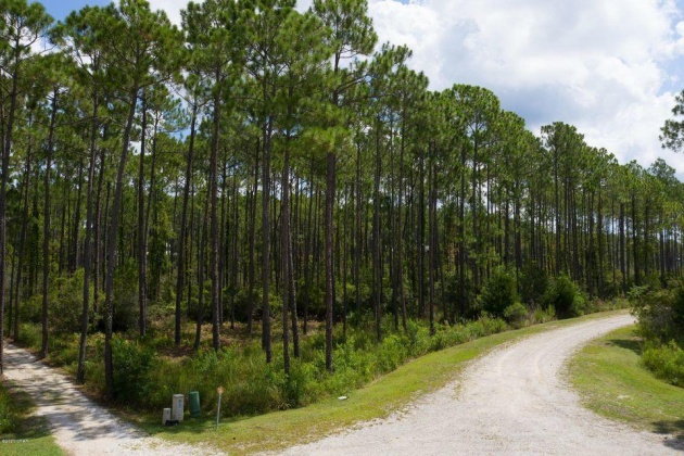 Panama City Beach, Florida 32413, ,Land,For Sale,Sawgrass Marsh,865132