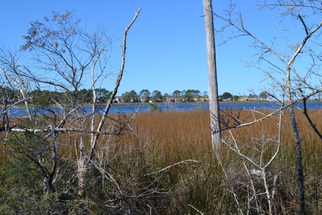 Sandestin, Florida 32550, ,1 BathroomBathrooms,Residential,For Sale,BAYTOWNE WHARF BLVD.,865099