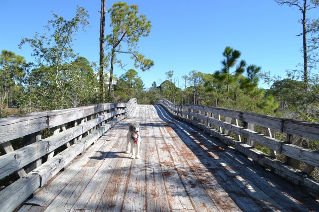 Sandestin, Florida 32550, ,1 BathroomBathrooms,Residential,For Sale,BAYTOWNE WHARF BLVD.,865099