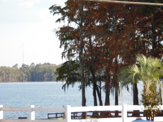 Florala, Alabama 36442, 4 Bedrooms Bedrooms, ,3 BathroomsBathrooms,Residential,For Sale,3rd St,832455