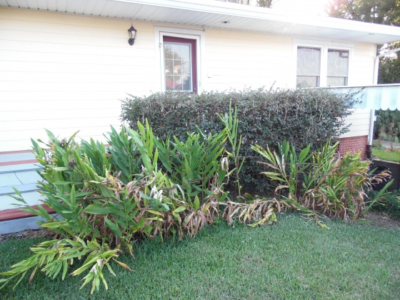 Florala, Alabama 36442, 4 Bedrooms Bedrooms, ,3 BathroomsBathrooms,Residential,For Sale,3rd St,832455