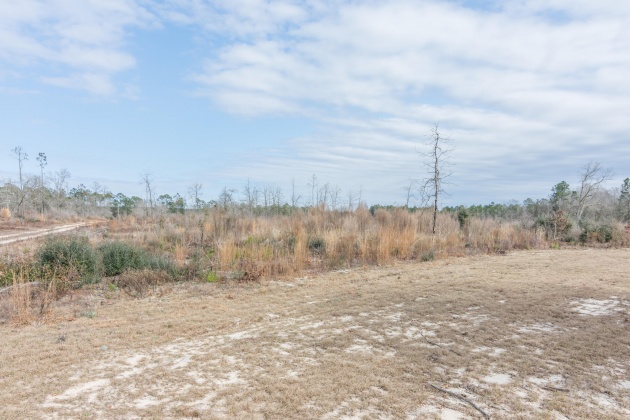 Crestview, Florida 32539, ,Land,For Sale,Possum Ridge,865403