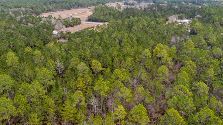 Freeport, Florida 32439, ,Land,For Sale,County Hwy 83A,865417