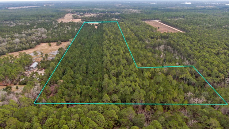 Freeport, Florida 32439, ,Land,For Sale,County Hwy 83A,865417