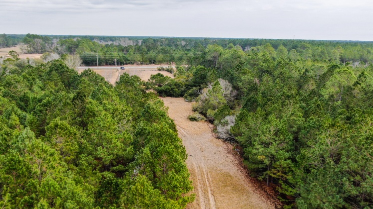 Freeport, Florida 32439, ,Land,For Sale,County Hwy 83A,865417