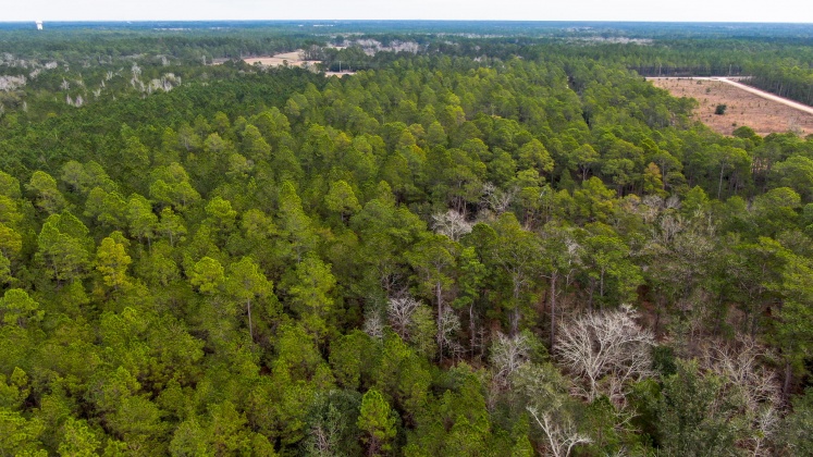 Freeport, Florida 32439, ,Land,For Sale,County Hwy 83A,865417