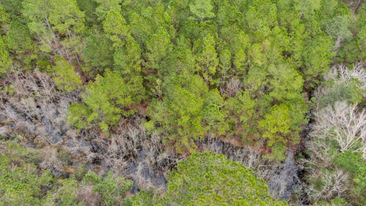 Freeport, Florida 32439, ,Commercial for Sale,For Sale,County Hwy 83-A,865414