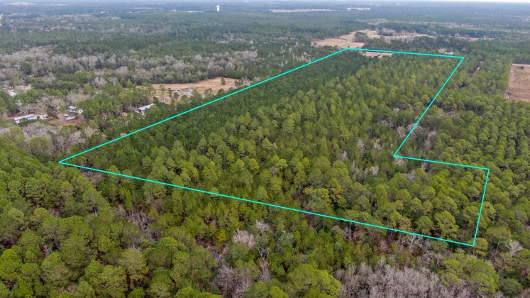 Freeport, Florida 32439, ,Commercial for Sale,For Sale,County Hwy 83-A,865415