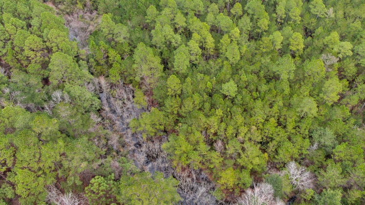 Freeport, Florida 32439, ,Commercial for Sale,For Sale,County Hwy 83-A,865415