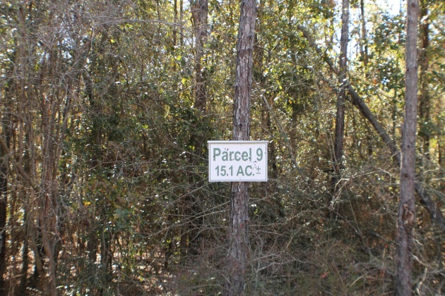 Milton, Florida 32570, ,Land,For Sale,Forest Hills,865434