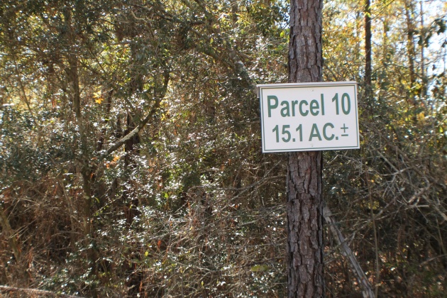 Milton, Florida 32570, ,Land,For Sale,Forest Hills,865434