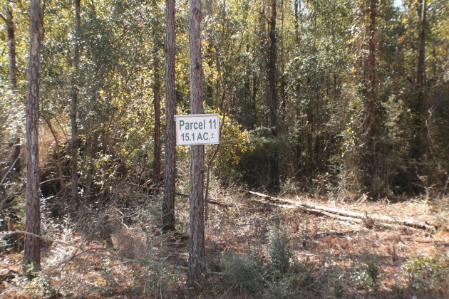 Milton, Florida 32570, ,Land,For Sale,Forest Hills,865434