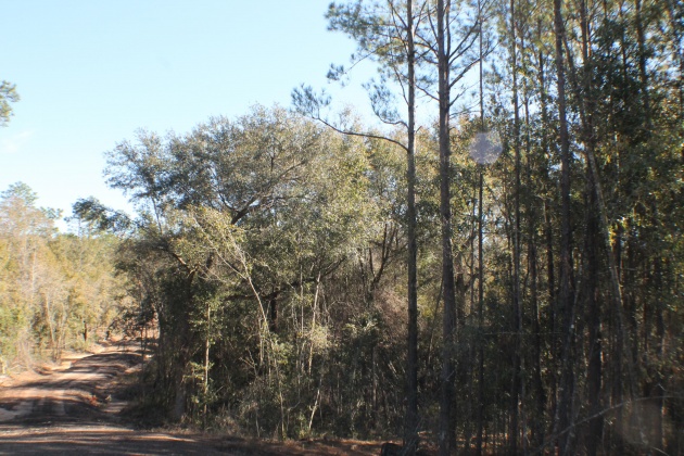 Milton, Florida 32570, ,Land,For Sale,Forest Hills,865434