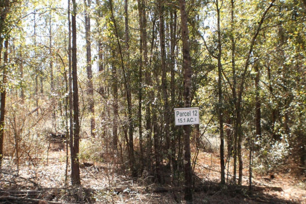 Milton, Florida 32570, ,Land,For Sale,Forest Hills,865434