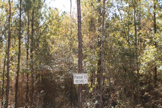 Milton, Florida 32570, ,Land,For Sale,Forest Hills,865434