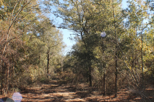 Milton, Florida 32570, ,Land,For Sale,Forest Hills,865434