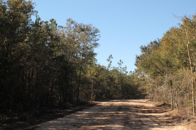 Milton, Florida 32570, ,Land,For Sale,Forest Hills,865434