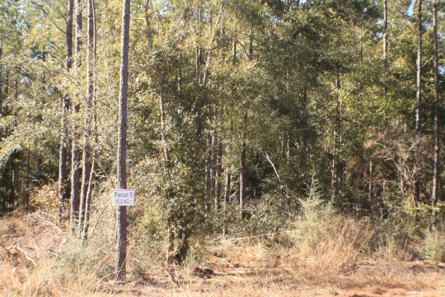 Milton, Florida 32570, ,Land,For Sale,Forest Hills,865434