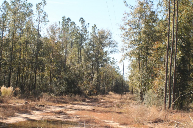 Milton, Florida 32570, ,Land,For Sale,Forest Hills,865434