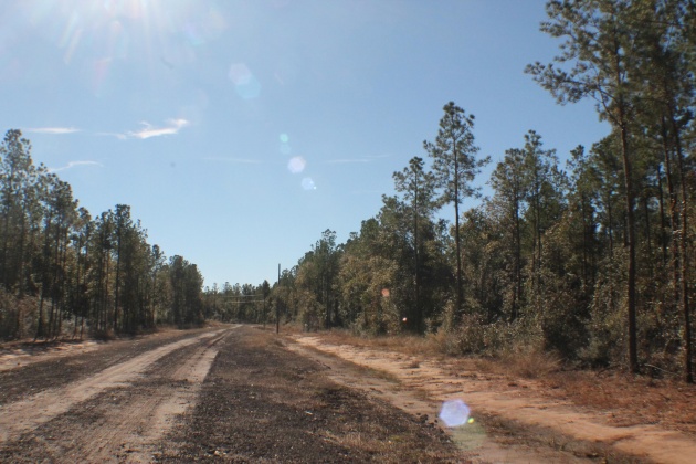 Milton, Florida 32570, ,Land,For Sale,Forest Hills,865434