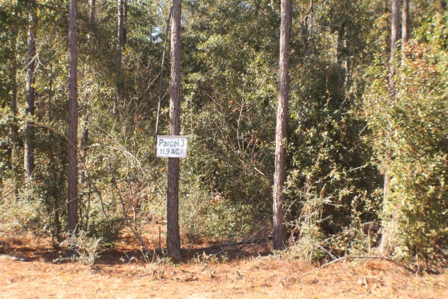 Milton, Florida 32570, ,Land,For Sale,Forest Hills,865434