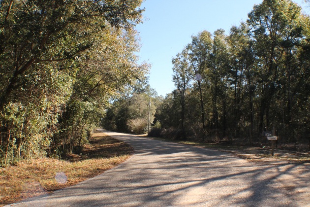 Milton, Florida 32570, ,Land,For Sale,Forest Hills,865434