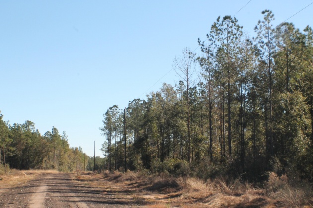 Milton, Florida 32570, ,Land,For Sale,Forest Hills,865434