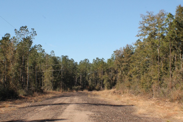Milton, Florida 32570, ,Land,For Sale,Forest Hills,865434