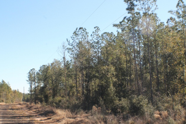 Milton, Florida 32570, ,Land,For Sale,Forest Hills,865434