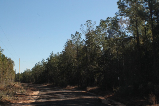 Milton, Florida 32570, ,Land,For Sale,Forest Hills,865434