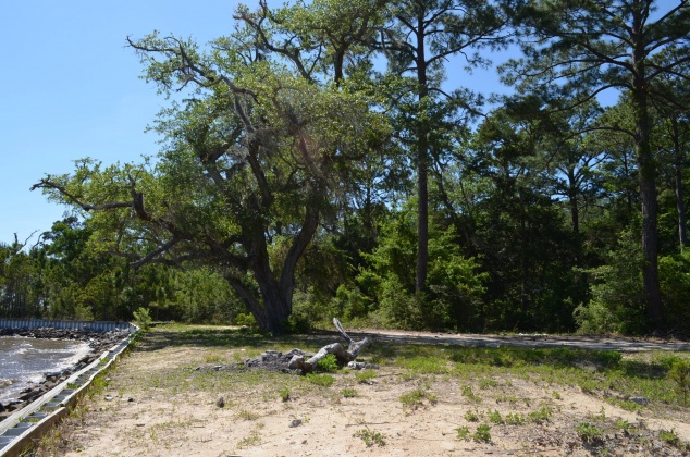 Freeport, Florida 32439, ,Land,For Sale,Co Highway 83-A,845775