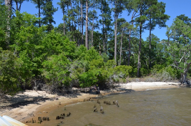 Freeport, Florida 32439, ,Land,For Sale,Co Highway 83-A,845775