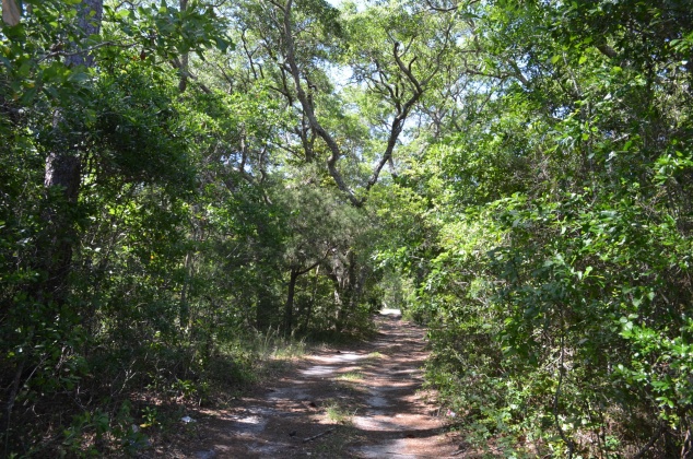 Freeport, Florida 32439, ,Land,For Sale,Co Highway 83-A,845775