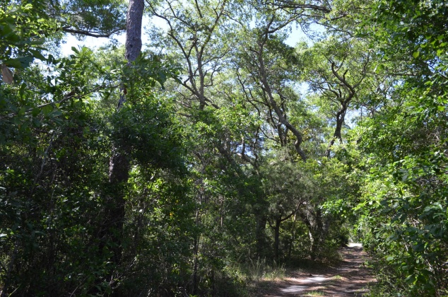 Freeport, Florida 32439, ,Land,For Sale,Co Highway 83-A,845775