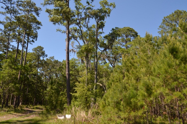 Freeport, Florida 32439, ,Land,For Sale,Co Highway 83-A,845775