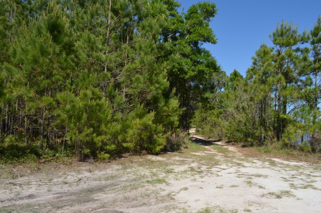 Freeport, Florida 32439, ,Land,For Sale,Co Highway 83-A,845775