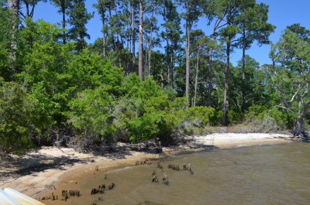Freeport, Florida 32439, ,Land,For Sale,Co Highway 83-A,845775