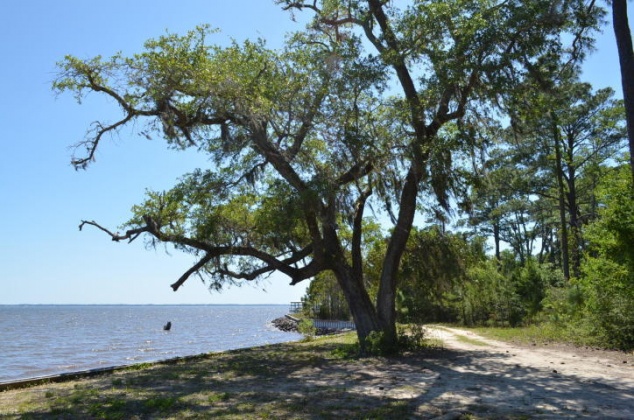 Freeport, Florida 32439, ,Land,For Sale,Co Highway 83-A,845775