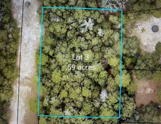 Crestview, Florida 32536, ,Land,For Sale,Pearl,855208