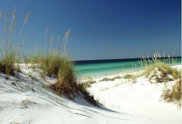 Destin, Florida 32541, 3 Bedrooms Bedrooms, ,2 BathroomsBathrooms,Residential,For Sale,Gulf Shore,865410