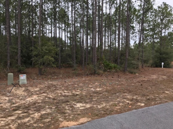 Freeport, Florida 32439, ,Land,For Sale,Drifted Sand,865440
